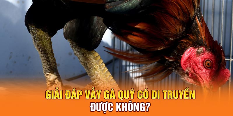 Giải đáp vảy gà quý có di truyền được không?
