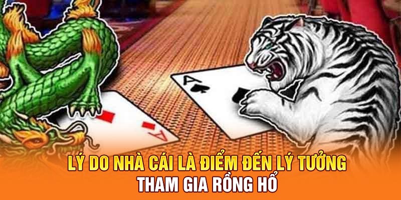 Lý do nhà cái là điểm đến lý tưởng tham gia Rồng Hổ