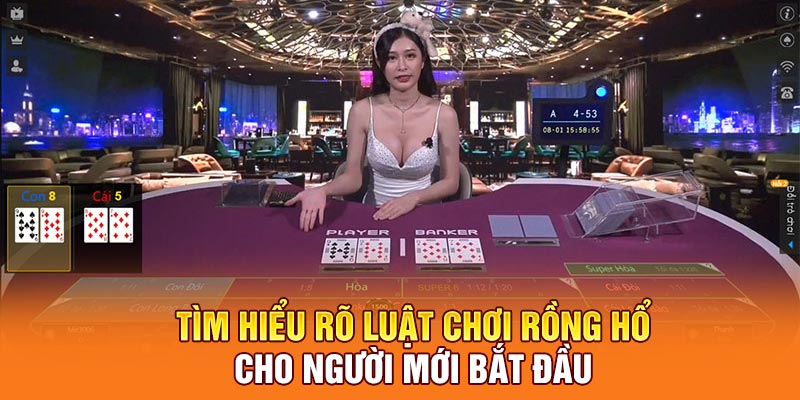 Tìm hiểu rõ luật chơi Rồng Hổ cho người mới bắt đầu